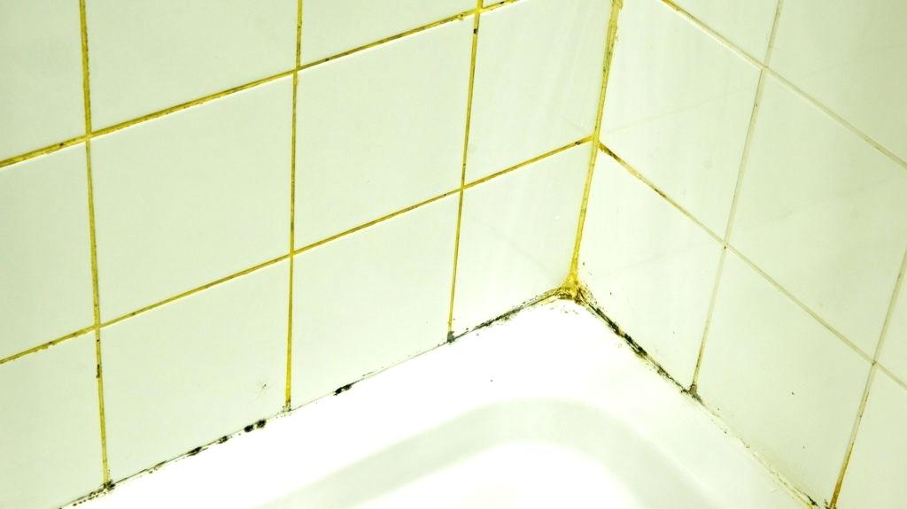 Грязные швы между плиткой в ванной 