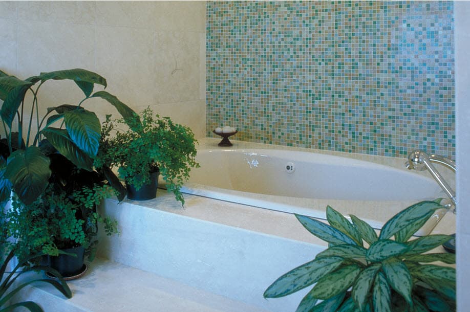 растения для ванной комнаты без окна